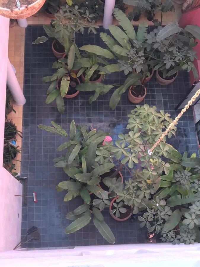 Meson San Felipe Apart otel Guadalajara Dış mekan fotoğraf